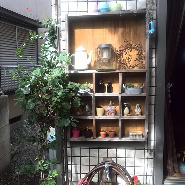 ayuさんの実例写真