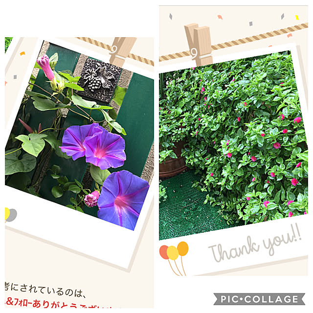 akkoさんの実例写真