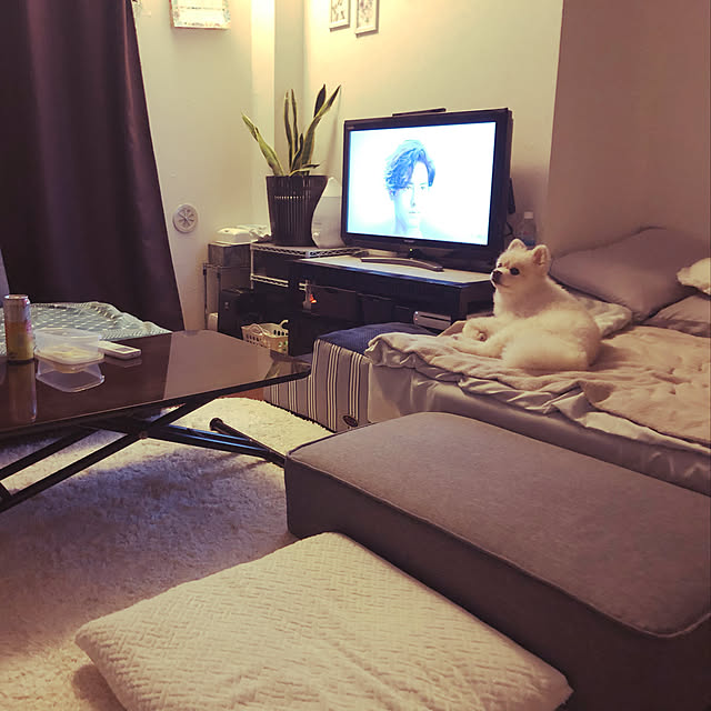 sacchiさんの実例写真