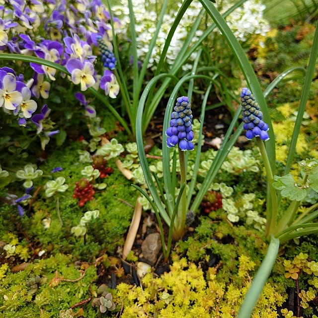 coconathuさんの部屋