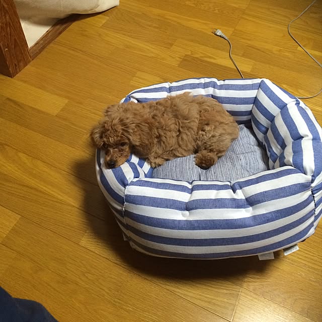 matamさんの実例写真