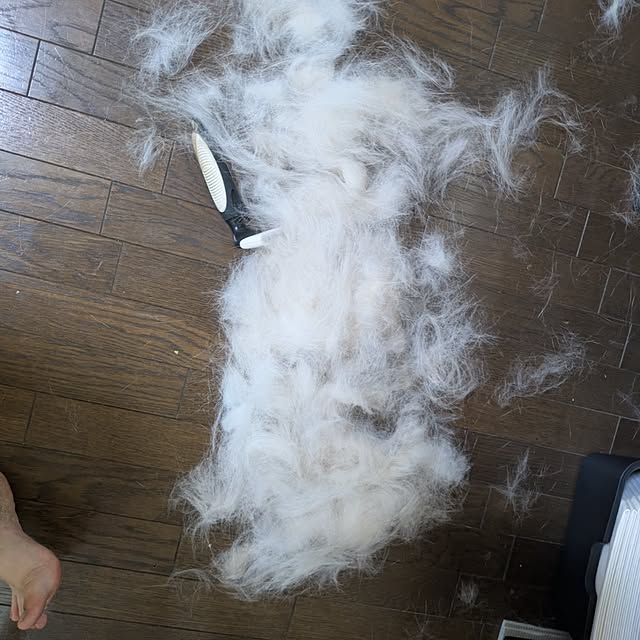 asaさんの部屋