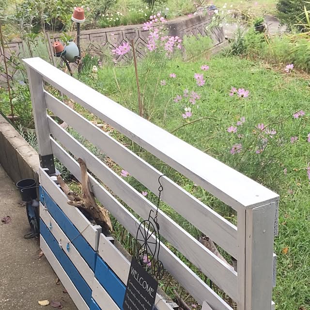 noburin8591さんの実例写真