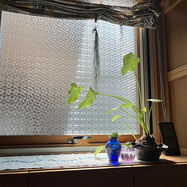 botanさんの実例写真
