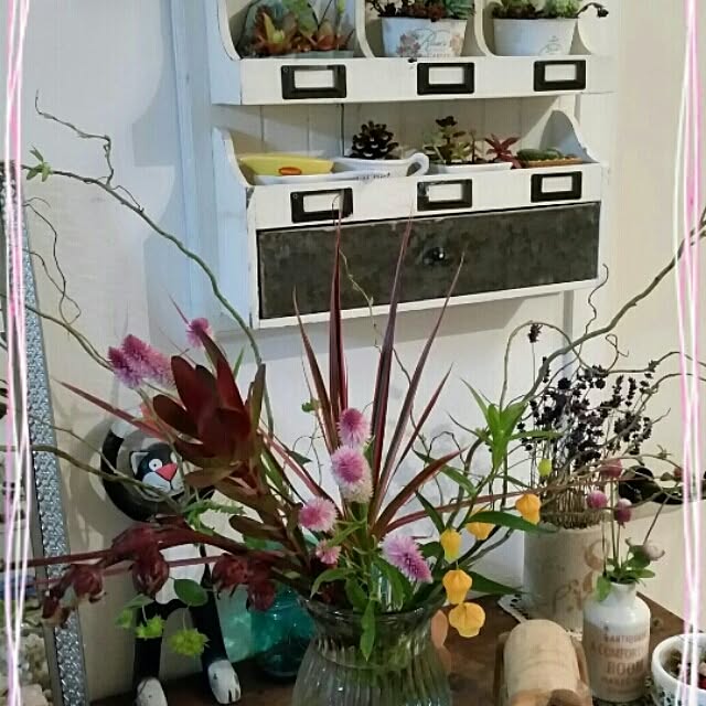 Yumiさんの実例写真