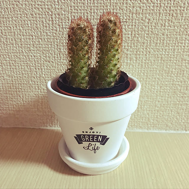 Norikoさんの実例写真