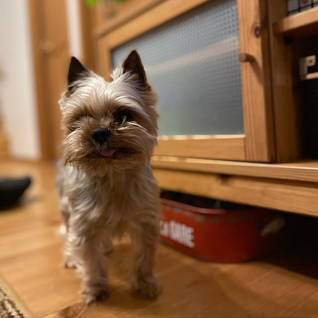 misacoさんの実例写真