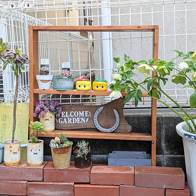 junさんの実例写真