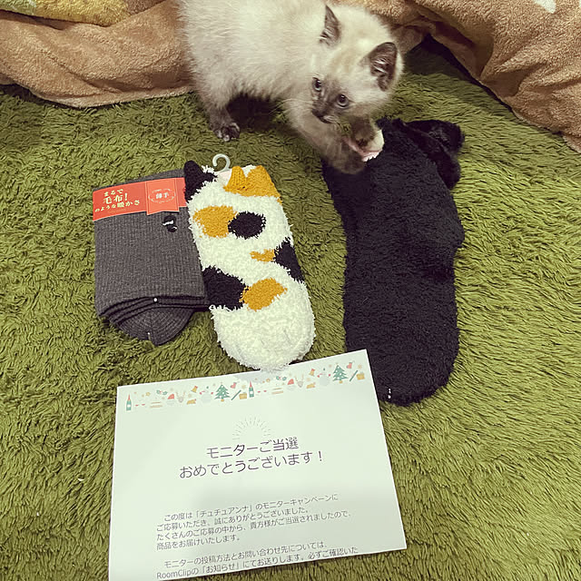 yu-iさんの実例写真
