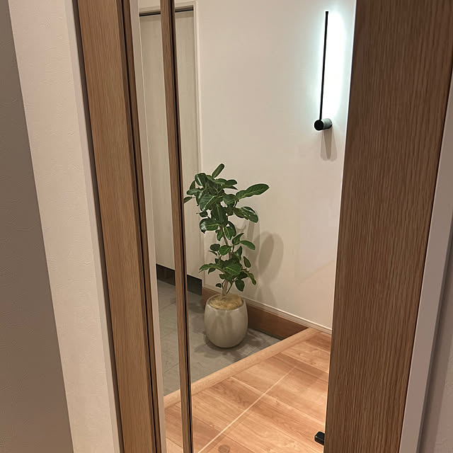 玄関/入り口/ナチュラル/北欧/観葉植物のインテリア実例 - 2024-11-19 22:41:28