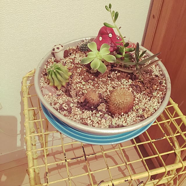 momomomokiuiさんの実例写真