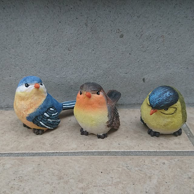shinobuさんの実例写真