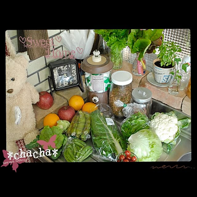 *chacha* さんの実例写真
