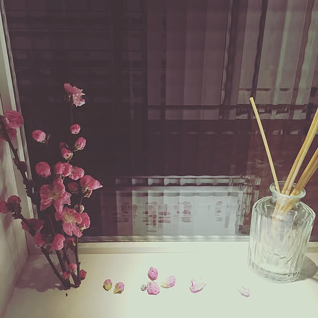 Eriさんの実例写真