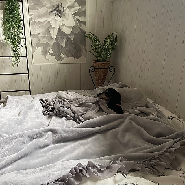 youmitsuさんの部屋