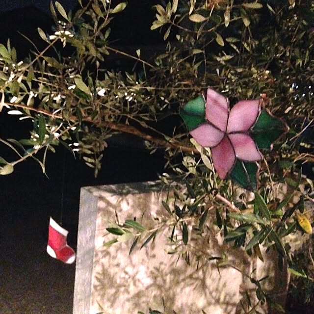 MiyoMiyoさんの実例写真