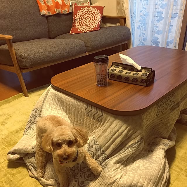 naoさんの実例写真