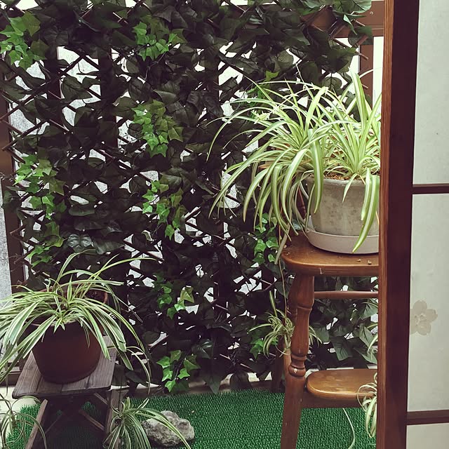 sachanさんの実例写真