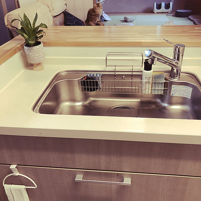 junさんの実例写真