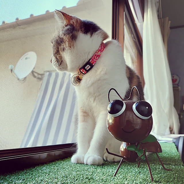 fukuさんの実例写真