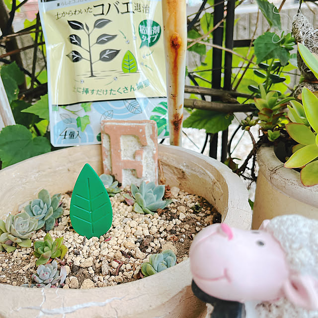 eriharuさんの部屋
