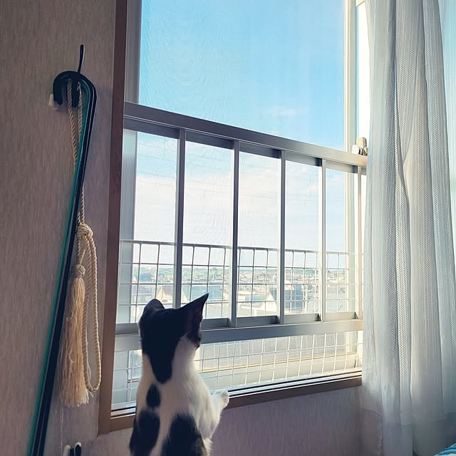 akimameさんの実例写真