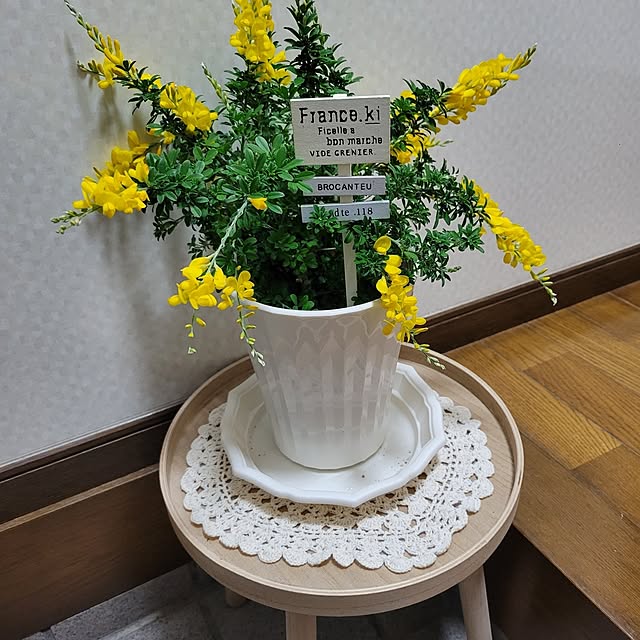 mayuさんの部屋