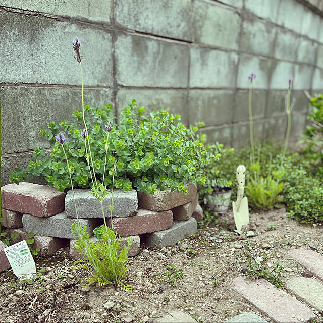 howdyさんの実例写真
