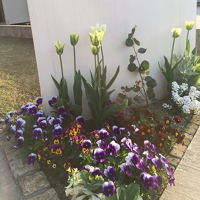 実例写真