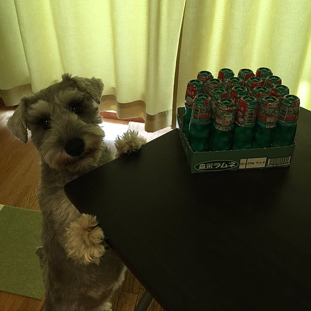 surfandslowlifeさんの実例写真