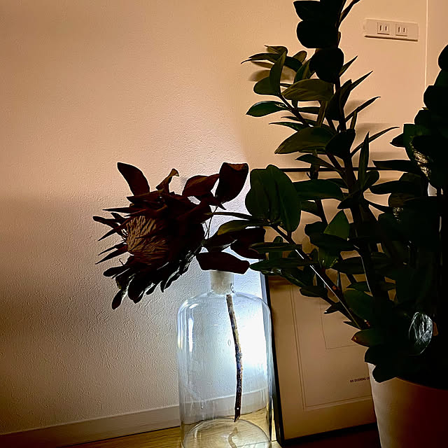 casa308さんの部屋