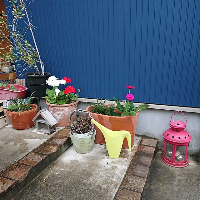 urchinさんの部屋