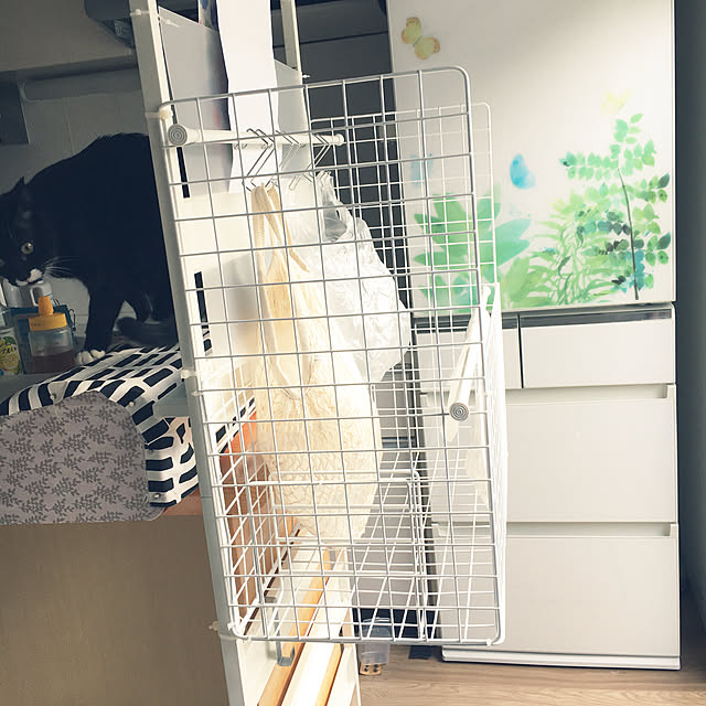 masamasaさんの実例写真