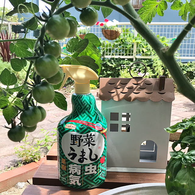 tararaさんの実例写真