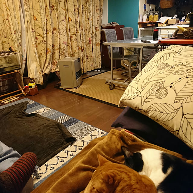 okyosan101さんの実例写真