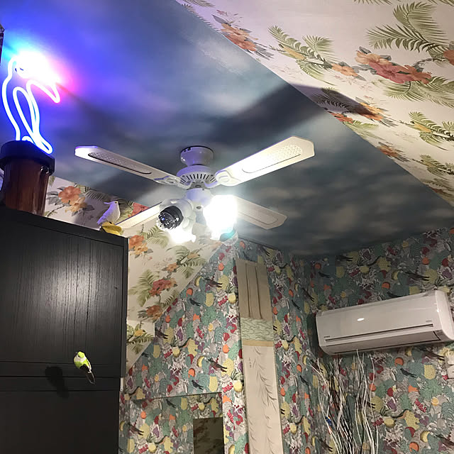 cyborg69のSIS-シーリングファンライト 42インチシーリングファン リモコン付き LED対応 照明4灯 風量3段階 天井照明 おしゃれ インテリア シーリングファン ファン ライト エコ 省エネ リバーシブル羽根 ブラウン ホワイト led 【送料無料】の家具・インテリア写真