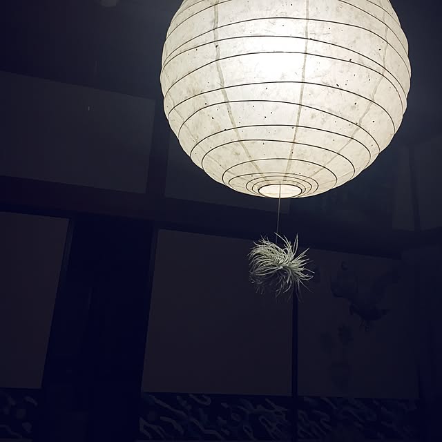 dattuさんの実例写真