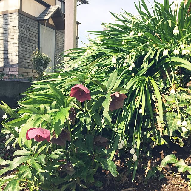 yudumireさんの実例写真