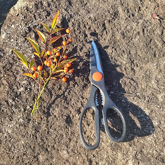 Rubiconさんの部屋