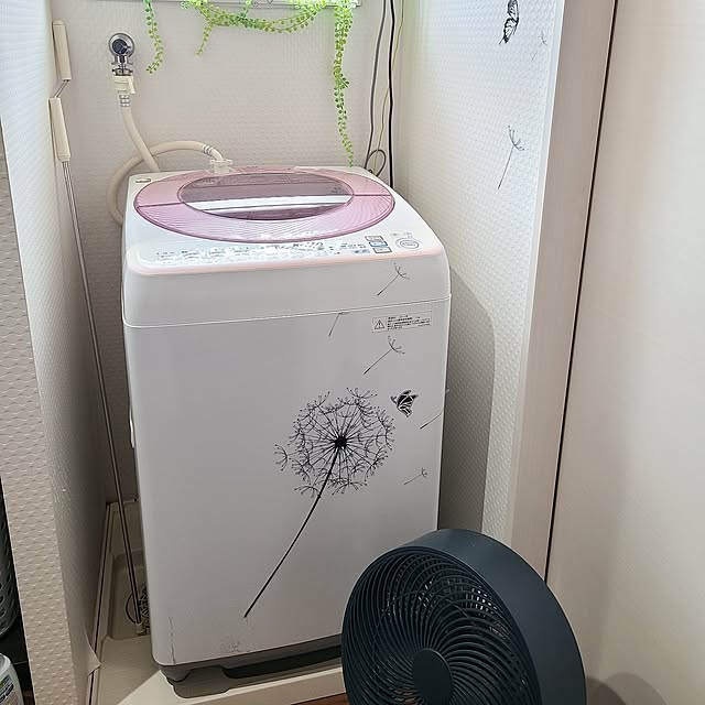 zenoさんの実例写真