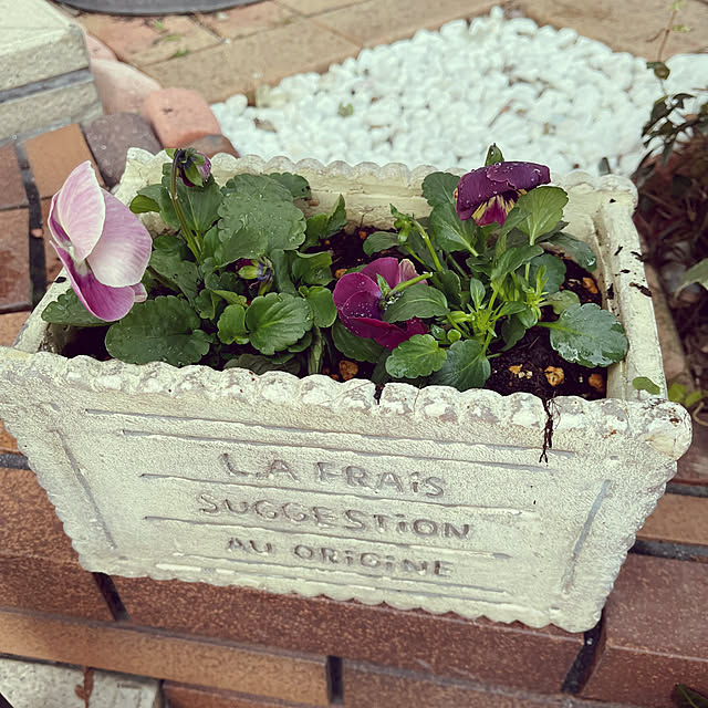 chikaさんの部屋