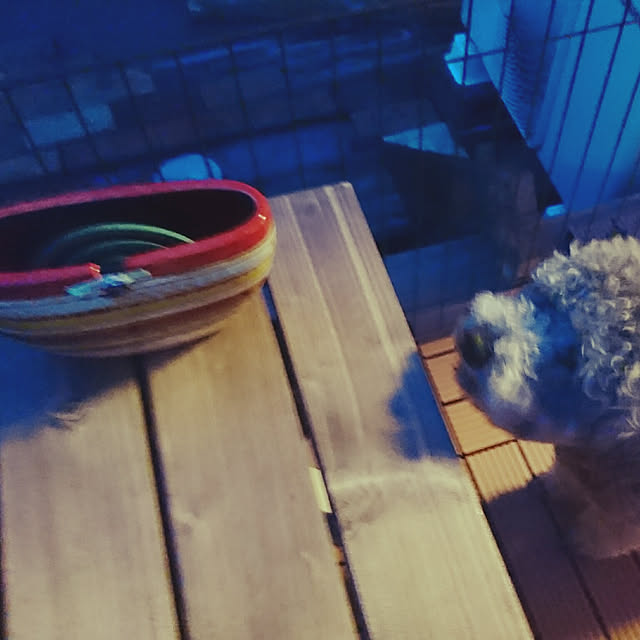 shorinさんの実例写真