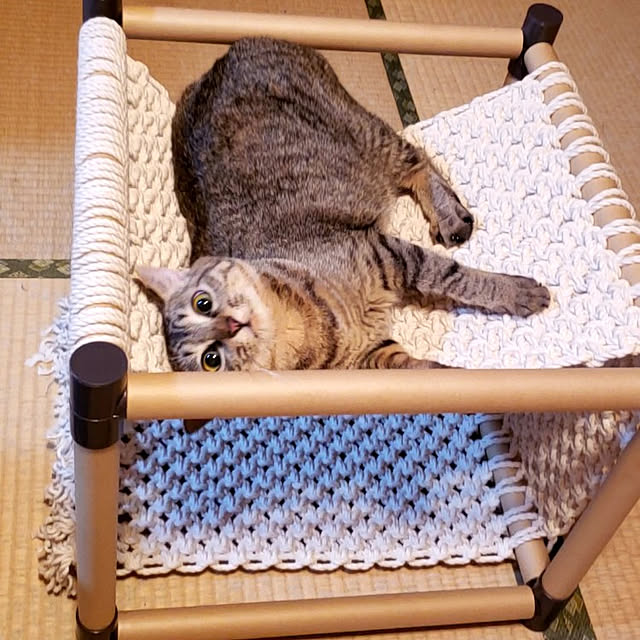 kiraさんの実例写真