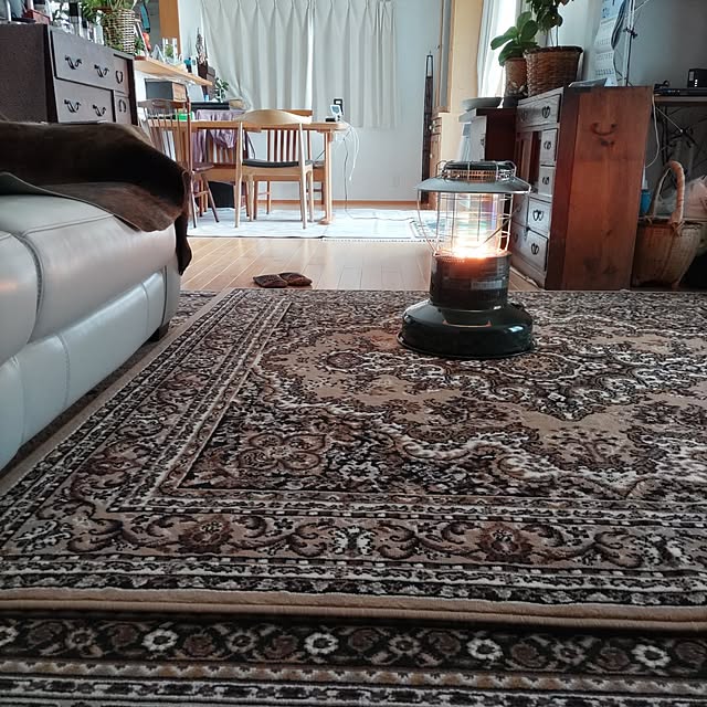 salacocoさんの実例写真