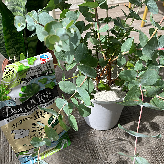 oliverさんの部屋