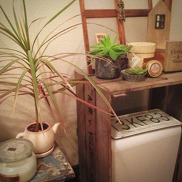 ayaさんの実例写真