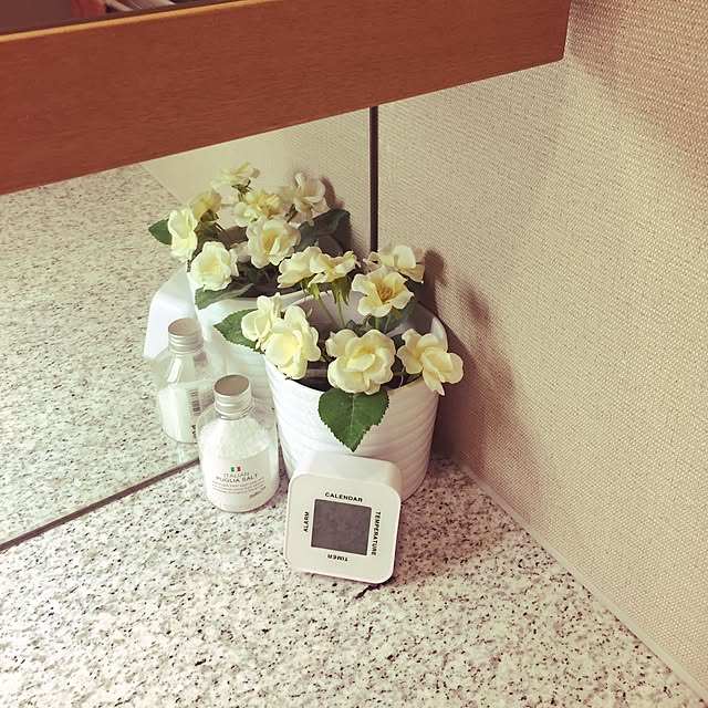 TLinoさんの実例写真