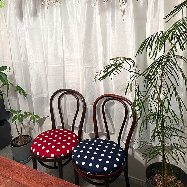 yokko_myroomさんの部屋