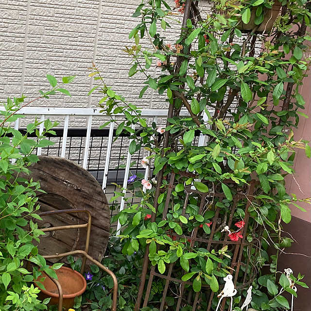 .kaka_love.さんの実例写真