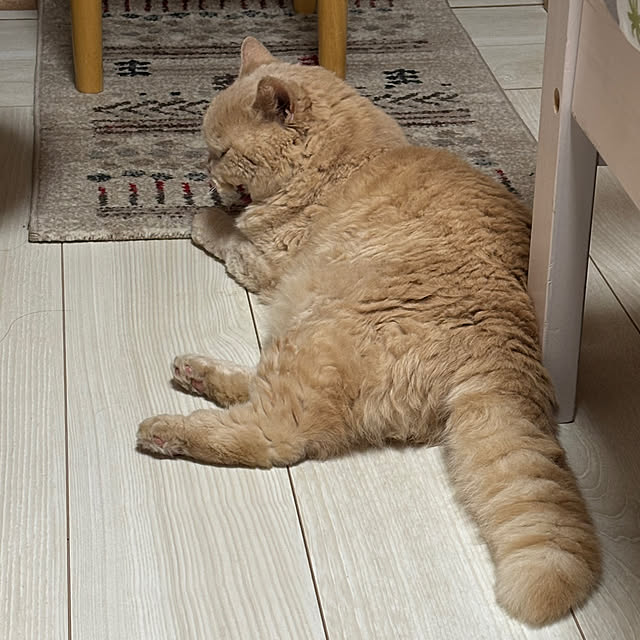 naokoさんの部屋